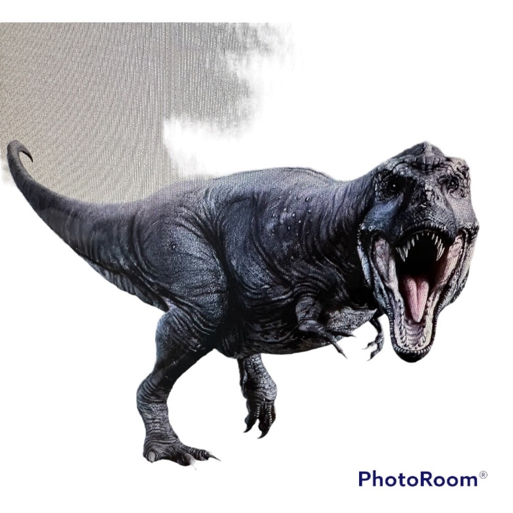 New Dinosaur Wall Decal/Sticker
